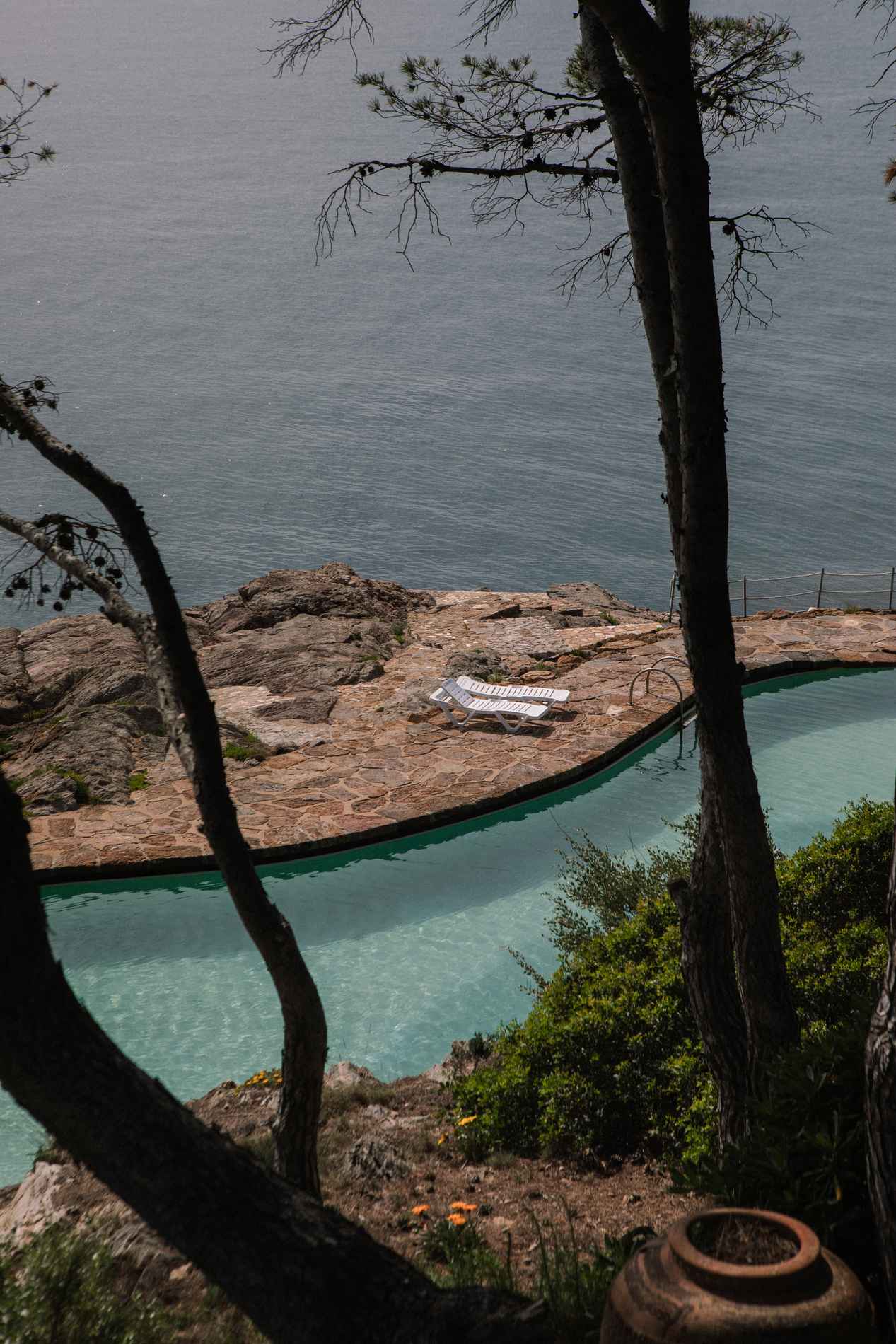 capsasal vanessathuille 2