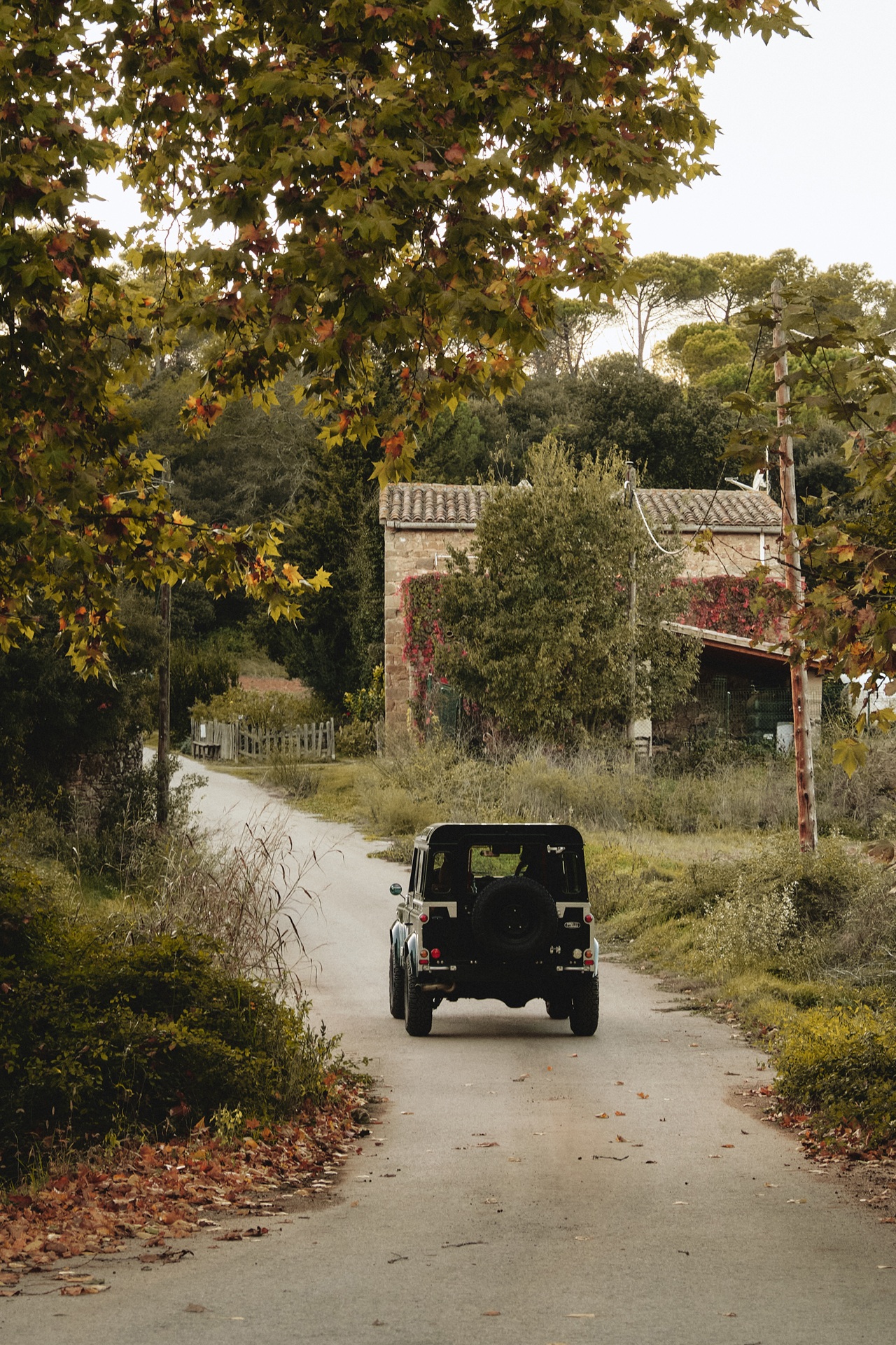 LH2511 Otra Paseo 006